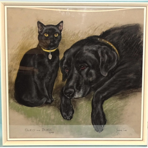 29 - Marjorie Cox (1915-2003) SAM AND CHARNOS Pastel study of a Labrador and a Siamese cat, 44.5 x 49.5cm... 