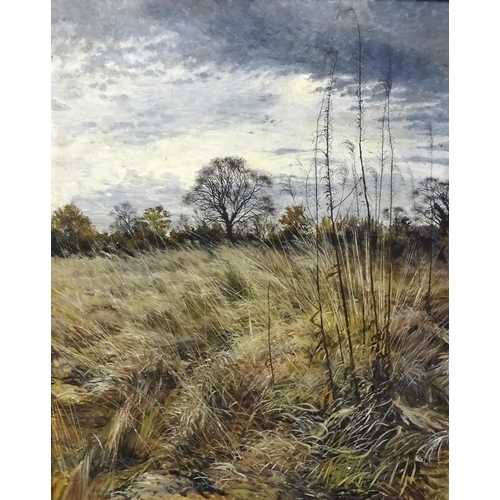 9 - Meg Stevens (1931-2012) STUDY OF FIELD OF GRASSES, WITH HEDGE AND RAIN CLOUDS Signed oil on board, d... 