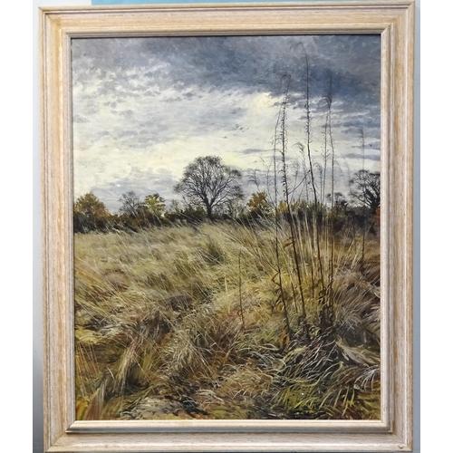 9 - Meg Stevens (1931-2012) STUDY OF FIELD OF GRASSES, WITH HEDGE AND RAIN CLOUDS Signed oil on board, d... 