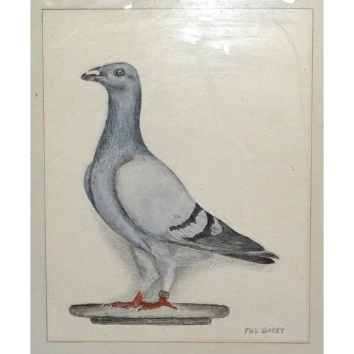 26 - Herbert Atkinson, 'A game cock', pen and ink drawing, signed, 25 x 21.5cm, indistinctly-inscribed on... 