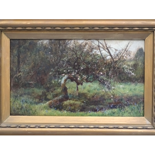 3 - John White (1851-1933) EARLY SPRING, WITH BLOSSOM AND WILD FLOWERS Oil on panel, signed lower-left a... 