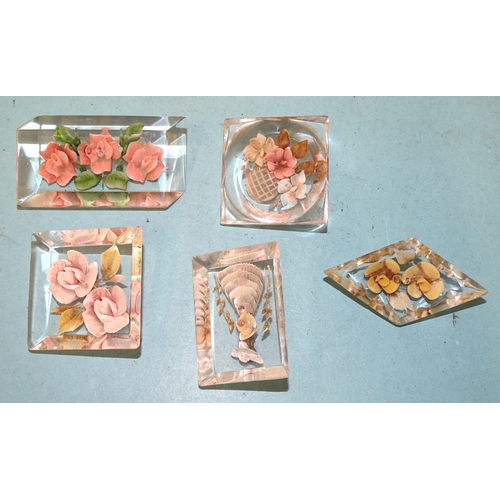 358 - Five various floral lucite brooches, (5).