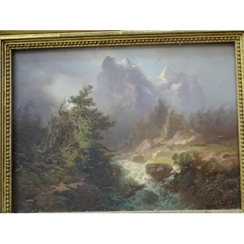 15 - Late 19th century continental school, an indistinctly signed oil on board, title verso 