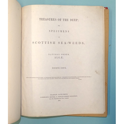 8 - Treasures of the Deep, or, Specimens of Scottish Sea-Weeds, Natural Order Algæ, fourth issue, 42 spe... 