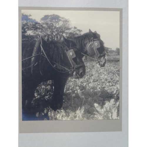 82 - Two leather and corduroy-bound albums dated 1929 and 1930, containing a total of ninety-four photogr... 