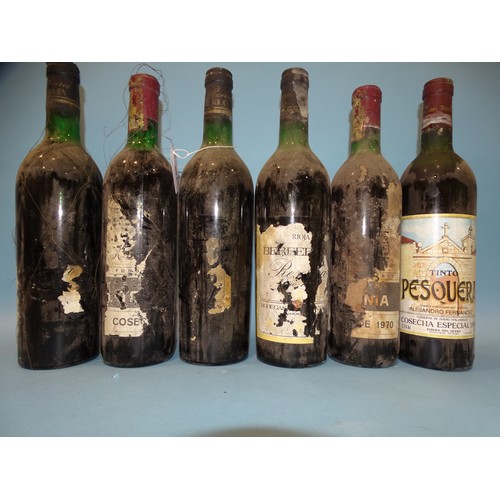 581 - A collection of sixteen bottles of Spanish Rioja, including Protos Ribera Duero, Pesquera Reserva 19... 