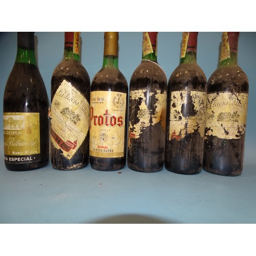 581 - A collection of sixteen bottles of Spanish Rioja, including Protos Ribera Duero, Pesquera Reserva 19... 