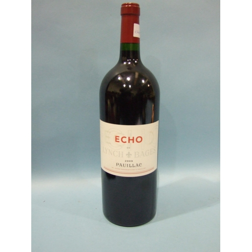 207 - Echo De Lynch Bage 2009, Pauillac, 13% vol, 150cl, one bottle.