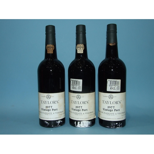 217 - Taylors 1977 Vintage Port, 21%, 75cl, three bottles, (3).