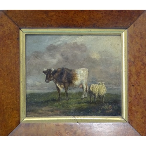 45 - 19th century English School STUDY OF A COW AND A SHEEP STANDING ON A GRASSY KNOLL Unsigned oil on pa... 