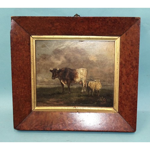 45 - 19th century English School STUDY OF A COW AND A SHEEP STANDING ON A GRASSY KNOLL Unsigned oil on pa... 