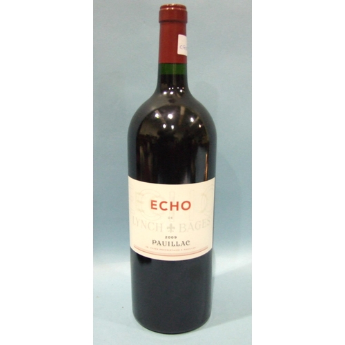 207 - Echo De Lynch Bage 2009, Pauillac, 13% vol, 150cl, one bottle.