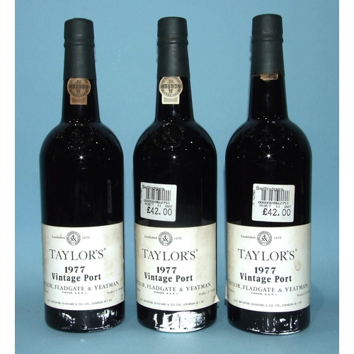 217 - Taylors 1977 Vintage Port, 21%, 75cl, three bottles, (3).