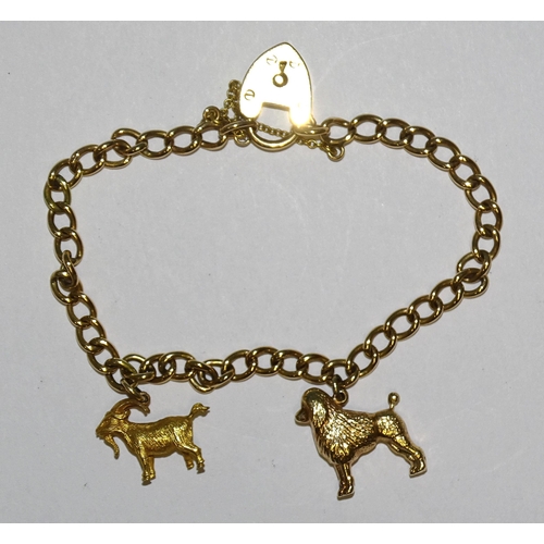 903 - A 15ct gold hollow curb-link bracelet, with two 9ct gold charms and 15ct gold padlock clasp, 19cm, 9... 