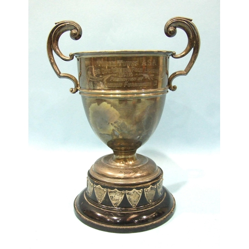 528 - A George V silver two-handled trophy cup, 19.5cm high, Birmingham 1911, ___10.6oz, 330g, with inscri... 