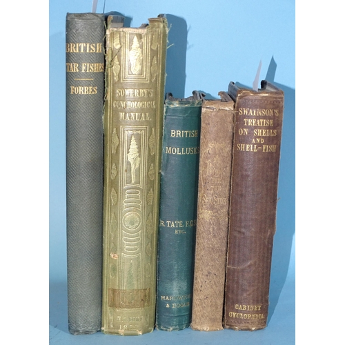 Lot 21        
