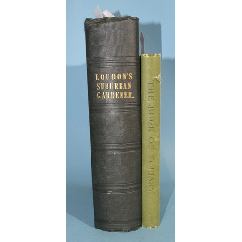 Lot 28        