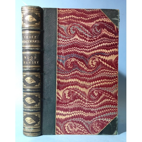 Lot 29        