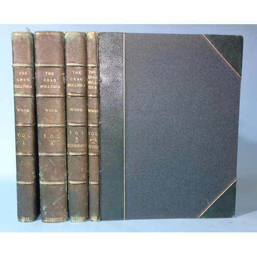 Lot 30        