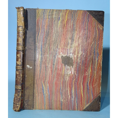 Lot 33        