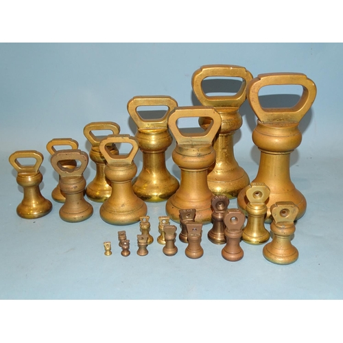 Lot 65        