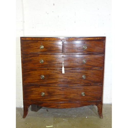 Lot 11        
