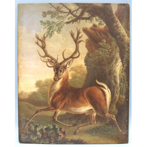 Lot 7         