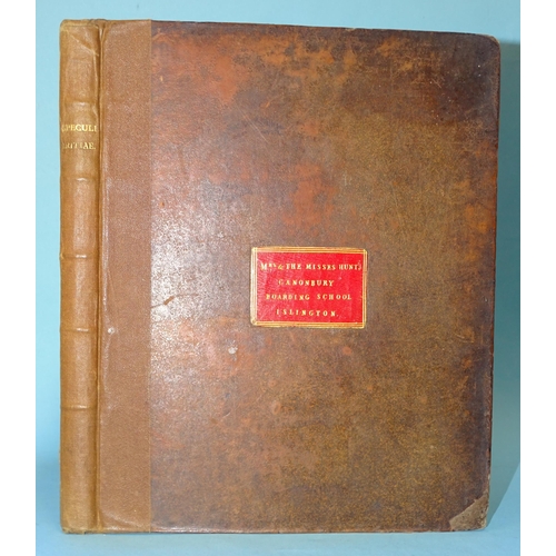 Lot 25        