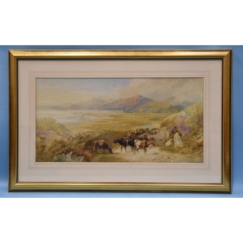 Lot 18        
