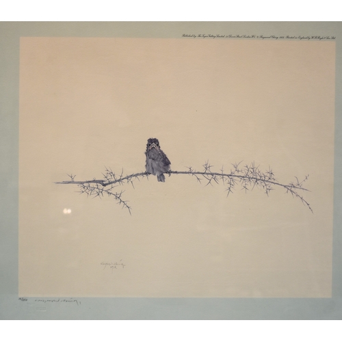 25 - After Raymond Harris Ching (b.1939), 'Sparrow Fledgling', a limited-edition print, signed in pencil ... 