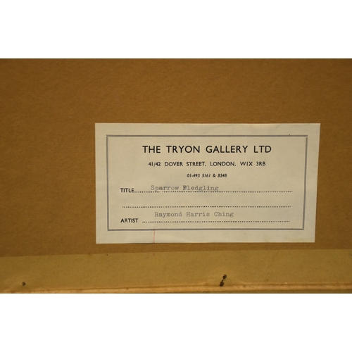 25 - After Raymond Harris Ching (b.1939), 'Sparrow Fledgling', a limited-edition print, signed in pencil ... 