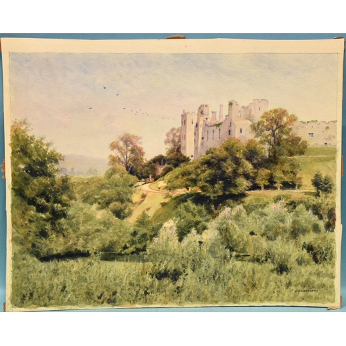 Lot 34        