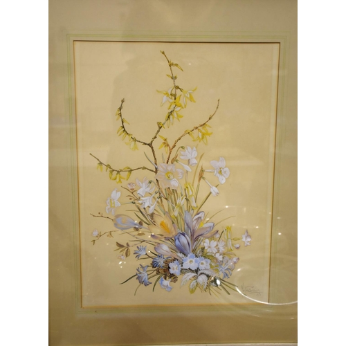 41 - Marjorie Blamey,&nbsp;(1918-2019), Spring Flowers and Laburnum, signed watercolour, dated '73, 44 x ... 