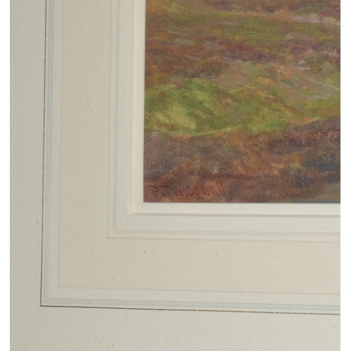 27 - Frederick John Widgery (1861-1942) MOORLAND SCENE NEAR OKEHAMPTON Signed watercolour, titled on gall... 