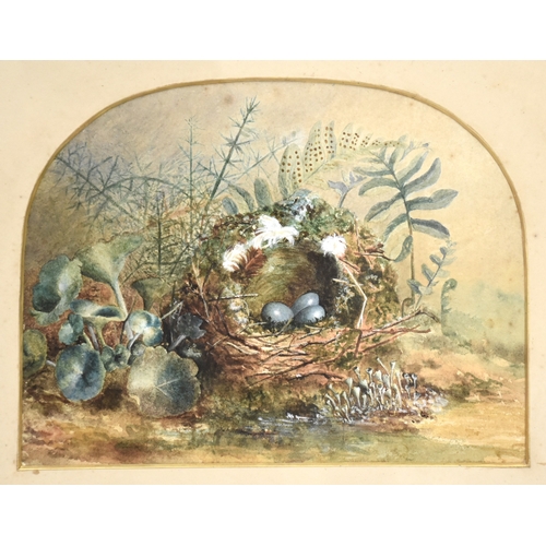 Lot 29        