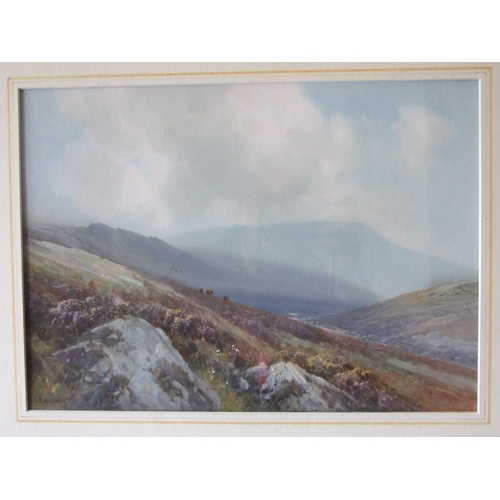 Lot 6         