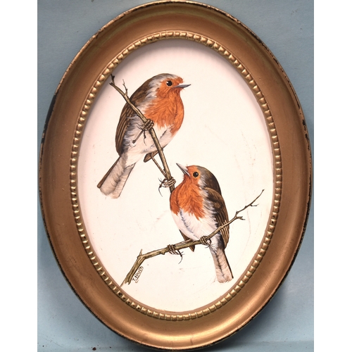16 - Tricia Hand, a group of four oil on artboard ornithological studies, depicting a pair of kingfishers... 