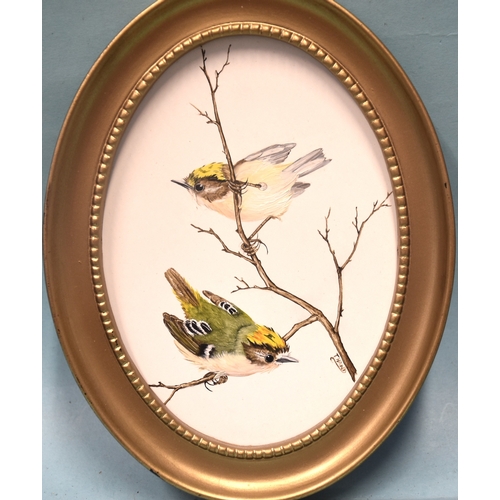 16 - Tricia Hand, a group of four oil on artboard ornithological studies, depicting a pair of kingfishers... 