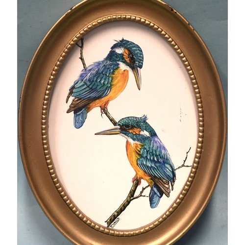 16 - Tricia Hand, a group of four oil on artboard ornithological studies, depicting a pair of kingfishers... 