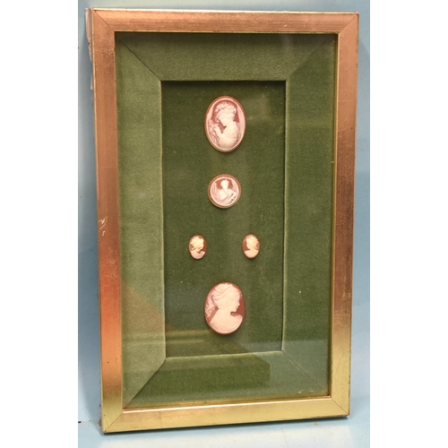 60 - Five shell cameos, various sizes, mounted on green velvet and framed together.