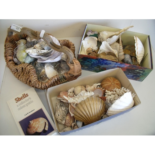 56 - Unusual woven basket and an extremely large selection of various sea shells, minerals etc