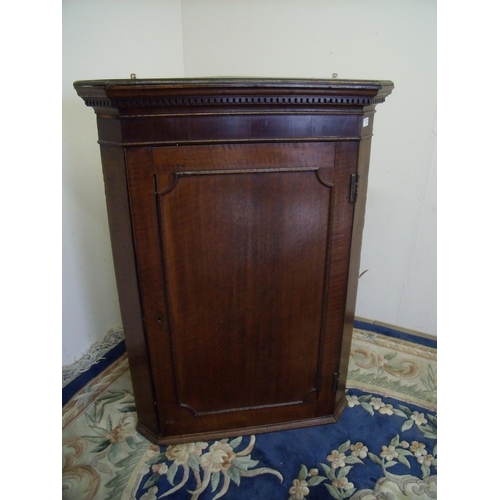 386 - Early 19th C oak wall mounted corner cupboard with three tier painted interior enclosed by single pa... 