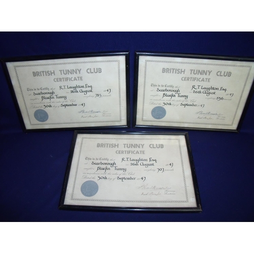 22 - Set of three framed and mounted British Tunny Club certificates, relating to The Laughton family Sca... 