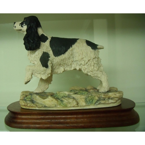 110 - Border Fine Arts figure of a black & white Spaniel on wooden plinth