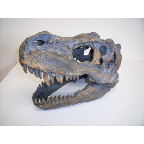41 - Composite wall mounted figure of a T-rex dinosaur skull