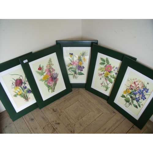 13 - Set of five framed and mounted botanical prints (44cm x 59cm including frames)