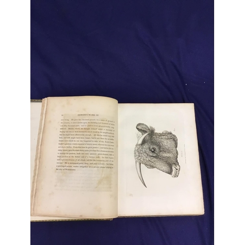 14 - 'A New Work of Animals' containing hundreds of plates drawn from the life and etched by Samuel Howit... 