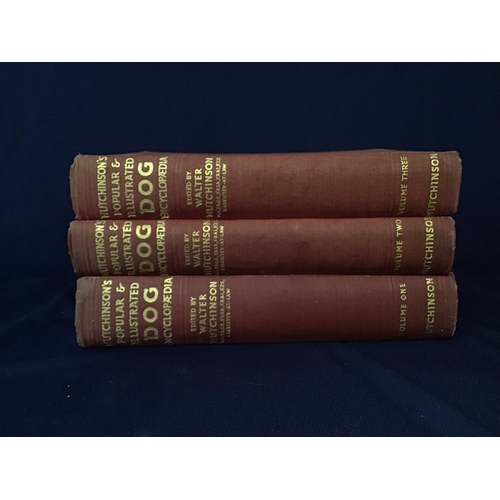7 - 'Hutchinson's Popular and Illustrated Dog Encyclopaedia' in three volumes