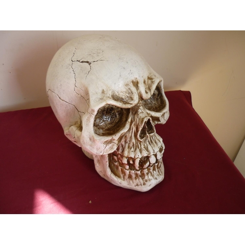 31 - Extremely large resin skull (28cm high)