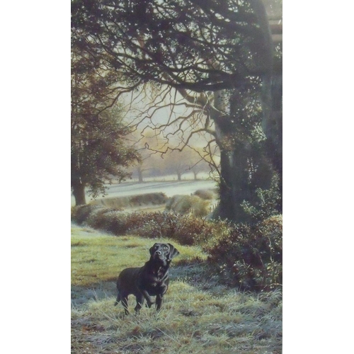 204 - Framed and mounted limited edition No 39/350 signed Steven Townsend print of black Labrador in woode... 